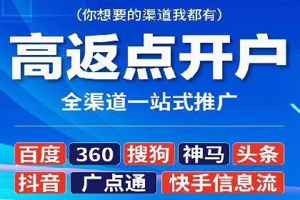 SEM主管实战：数据分析与策略调整